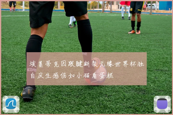 埃基蒂克因跟腱断裂无缘世界杯独自庆生感伤如小猫看蛋糕