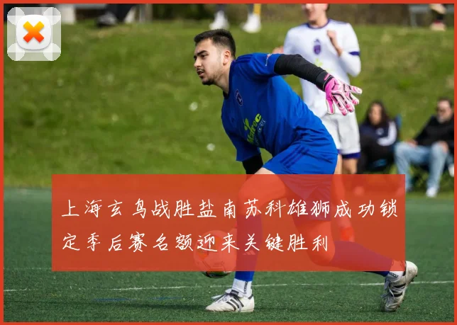 上海玄鸟战胜盐南苏科雄狮成功锁定季后赛名额迎来关键胜利